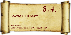 Borsai Albert névjegykártya