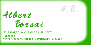 albert borsai business card